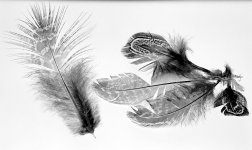 2025-09-06-0027-copy.jpg-tp.jpg 2025-09-06-0027-copy.jpg-tp.jpg