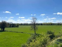 Lovely Morning for a Walk.jpeg