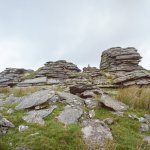 101 Gt Links Tor 01-000167200001 PS Adj Upload.jpg