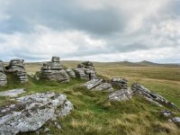 113 Arms Tor 06 6x4.5-000167200012 PS Adj Upload.jpg