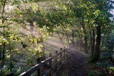 21-09-25 - 21-09-25 - DSC01121.jpg 21-09-25 - 21-09-25 - DSC01121.jpg