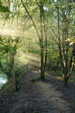 21-09-25 - 21-09-25 - DSC01122.jpg 21-09-25 - 21-09-25 - DSC01122.jpg