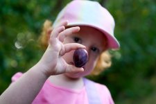 10-08-25 - 10-08-25 - DSC01094.jpg 10-08-25 - 10-08-25 - DSC01094.jpg