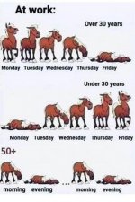 FB_IMG_1733442517983 (1).jpg