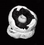 1758644009587.jpeg 1758644009587.jpeg