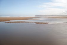 1-DSC00490.jpg 1-DSC00490.jpg