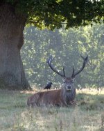 XT3B6577-2.jpg XT3B6577-2.jpg