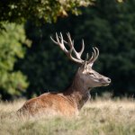 XT3B6747-2.jpg XT3B6747-2.jpg