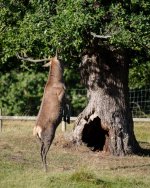 XT3B6600-2.jpg XT3B6600-2.jpg