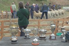 _7812575.jpg _7812575.jpg