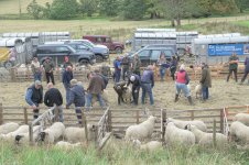 _7812767.jpg _7812767.jpg