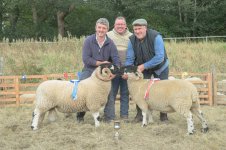 _7812858.jpg _7812858.jpg