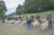 _7815653.jpg _7815653.jpg