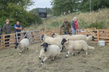 _7815672.jpg _7815672.jpg