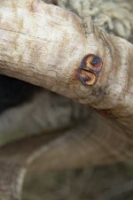 _7812748.jpg _7812748.jpg