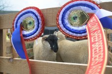 _7815679.jpg _7815679.jpg