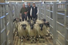 _7812476.jpg _7812476.jpg