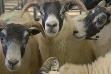 _7812365.jpg _7812365.jpg