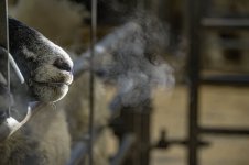 _7812382.jpg _7812382.jpg