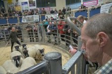 _7815538.jpg _7815538.jpg