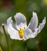 Week 38 - Favourite Places .JPG