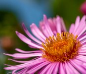 Week 38 - Favourite Places 1.JPG