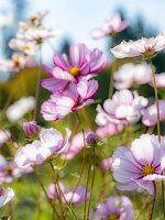 Week 38 - Favourite Places 3.JPG