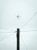 002 Juxtaposition 02-1070 PS Adj.jpg