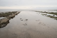 1-DSC00619.jpg 1-DSC00619.jpg