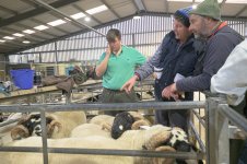 _7812923.jpg _7812923.jpg