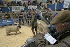 _7813110.jpg _7813110.jpg