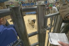 _7813138.jpg _7813138.jpg