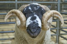 _7815710.jpg _7815710.jpg