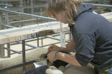 _7815718.jpg _7815718.jpg