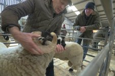 _7812893.jpg _7812893.jpg