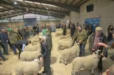 _7812960.jpg _7812960.jpg