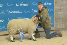 _7815792.jpg _7815792.jpg