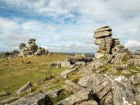 102 Gt Staple Tor 02-1002276 PS Adj Upload.jpg 102 Gt Staple Tor 02-1002276 PS Adj Upload.jpg