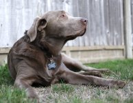 DSCF0157.jpeg DSCF0157.jpeg