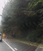 1000019372.jpg 1000019372.jpg