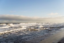 DSC00833.JPG DSC00833.JPG