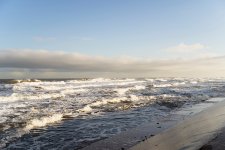 DSC00834.JPG DSC00834.JPG