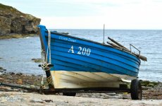 B McDonald 2412 Open 1 The Etire Fleet_02_01.JPG