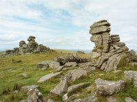 005 Gt Staple Tor (40mm) 05-000171000006 PS Adj Upload.jpg 005 Gt Staple Tor (40mm) 05-000171000006 PS Adj Upload.jpg