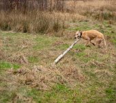 52 for 25 week 40 Heavy-2.jpg