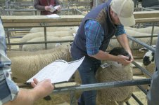 _7815953.jpg _7815953.jpg