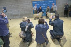 _7816068.jpg _7816068.jpg