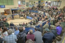 _7813177.jpg _7813177.jpg