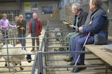 _7813208.jpg _7813208.jpg