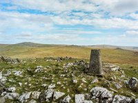 006 Cox Tor (40mm) 01-000171000007 PS Adj Upload.jpg 006 Cox Tor (40mm) 01-000171000007 PS Adj Upload.jpg